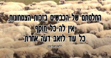 החלטתם של הכבשים…